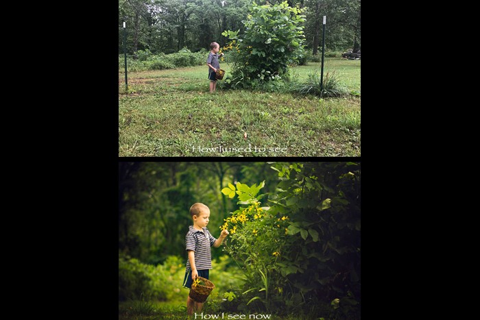 تفاوت تصاویر برای تبدیل شدن به یک عکاس حرفه‌ای