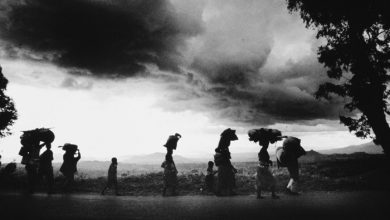 مجموعه عکس « نسل‌کشی رواندا »