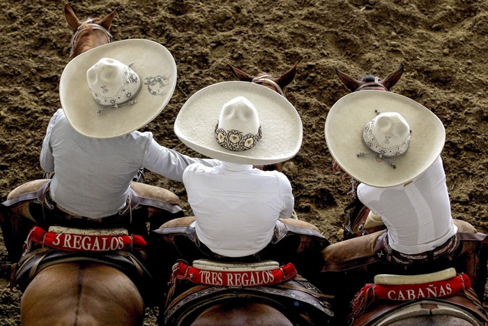 گاو بازی در کشور مکزیک _ برگزاری مراسم سنتی گاو بازی در مکزیک‎ 