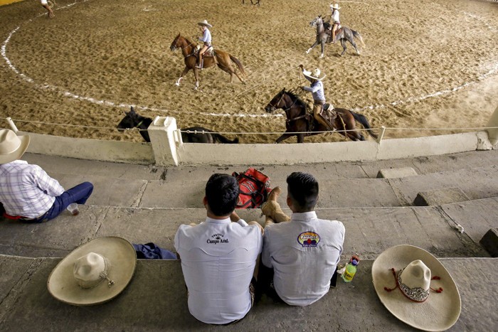 گاو بازی در کشور مکزیک _ برگزاری مراسم سنتی گاو بازی در مکزیک‎ 