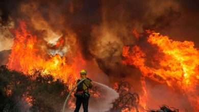 آتش سوزی در جنگلهای کالیفرنیا