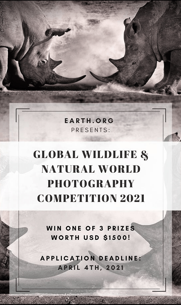 مسابقه شرکت محیط زیست _ انتشار فراخوان عکاسی حیات وحش و جهان طبیعی 2021