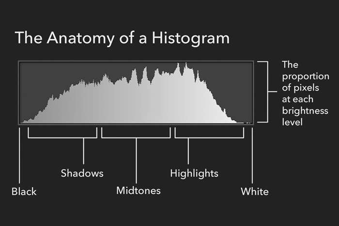 نوردهی رنگ عکس _ نقش هیستوگرام در عکاسی چیست؟ و چه کاربردی دارد؟