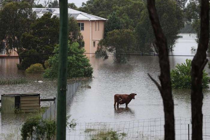 استرالیا غرق در بدترین سیل در 60 سال گذشته
