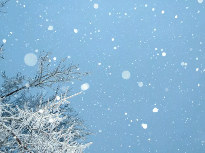 چگونه در زمستان عکس های زیبای برفی بگیریم؟