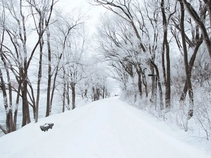 چگونه در زمستان عکس های زیبای برفی بگیریم؟