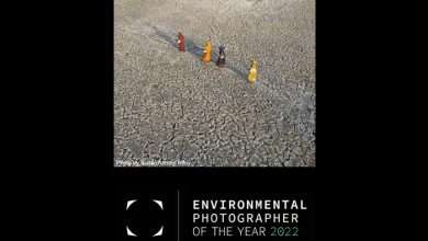 انتشار فراخوان عکاسی محیط زیست سال 2022