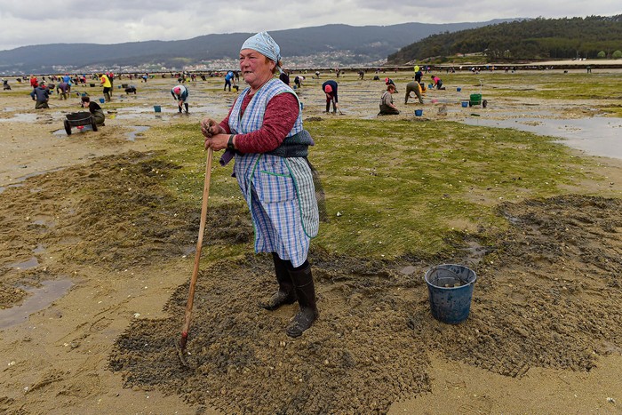 زنان کشاورز اسپانیای در جستجوی صدف