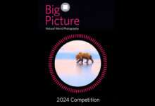 انتشار فراخوان عکاسی دنیای طبیعی BigPicture 2024