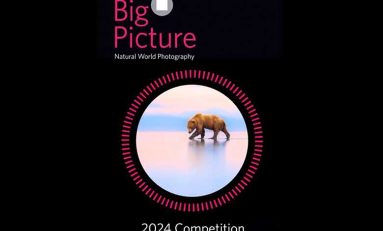 انتشار فراخوان عکاسی دنیای طبیعی BigPicture 2024