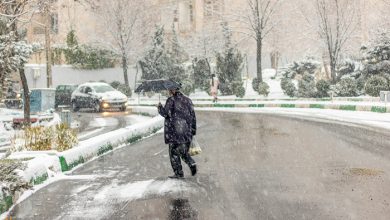 گزارش تصویری / بارش برف در تهران