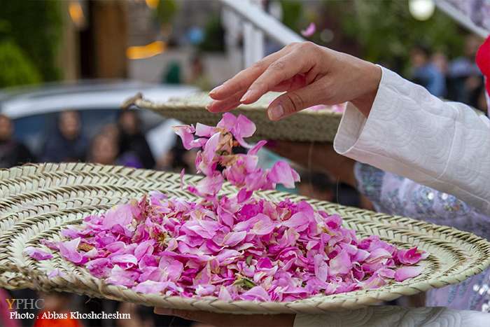 جشنواره گل و گلاب در شهرستان محلات