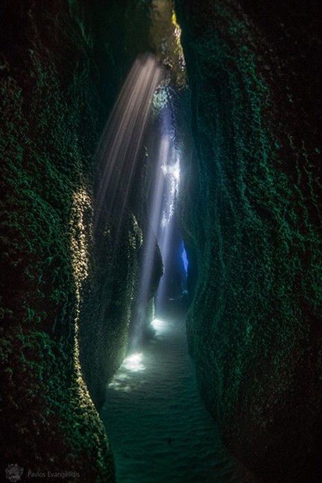 اعلام برندگان مسابقه عکاسی Underwater Tour 2020