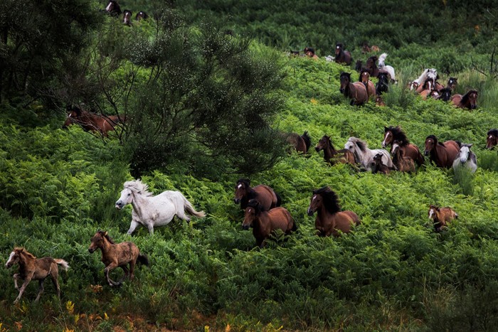 طبیعت _ فینالیست _ منتخبی ازتصاویر بین المللی برندگان رقابت عکاسی REDISCOVER Nature