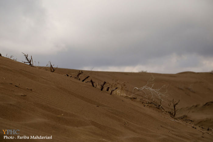 گزارش تصویری _ کویر ابوزیدآباد